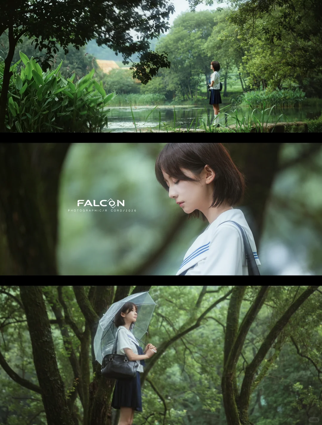 绿意盎然 预览 2